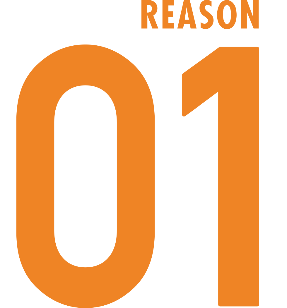 REASON 01