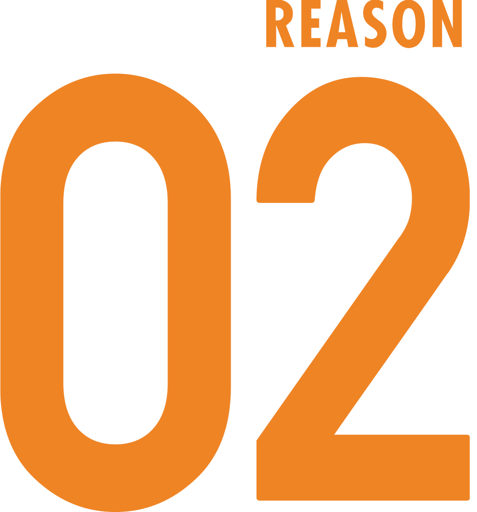 REASON 02