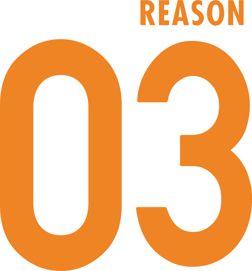 REASON 03